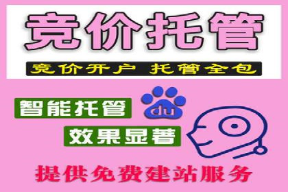竞价端口开户全解析，实战案例